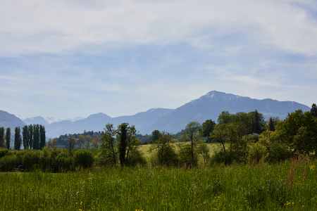 Image 63